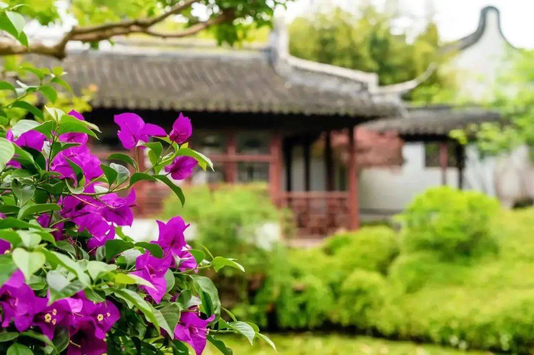 如何找当地皇冠代理_沪苏湖高铁开通在即如何找当地皇冠代理!原来沪苏湖高铁周边有这么多好看又好玩的地方