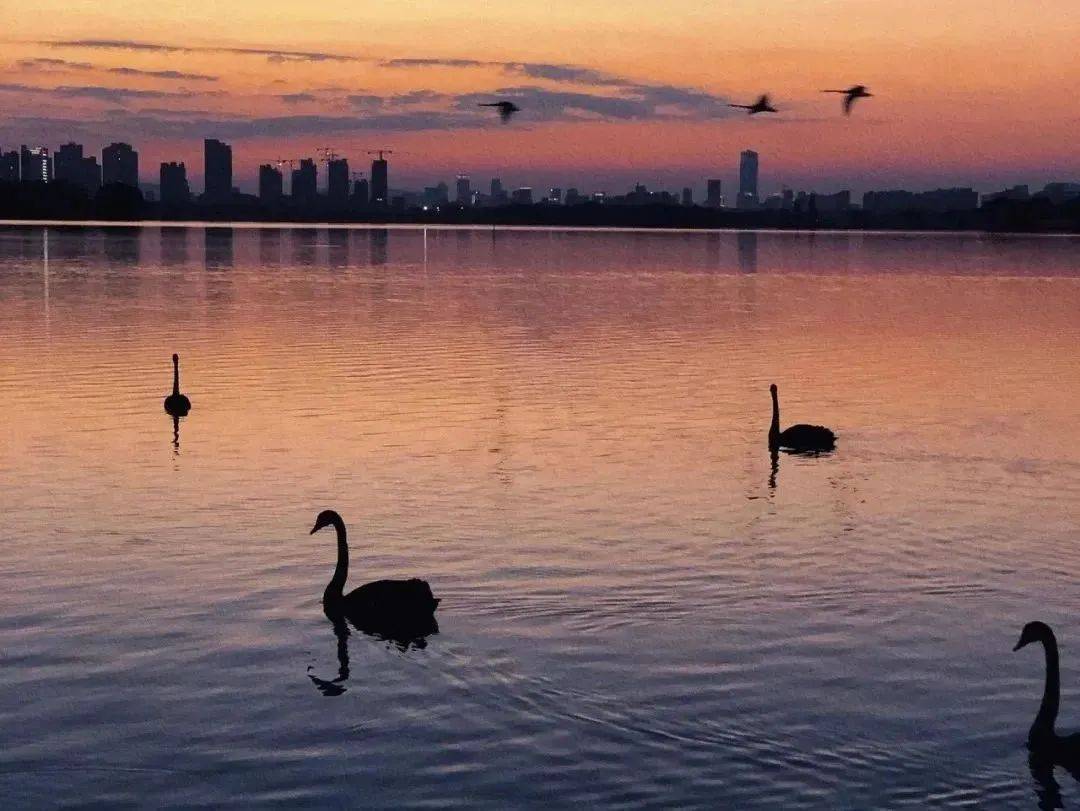 如何找当地皇冠代理_沪苏湖高铁开通在即如何找当地皇冠代理!原来沪苏湖高铁周边有这么多好看又好玩的地方