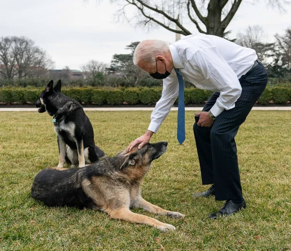 皇冠信用網登3代理_新加坡劝中国放弃自给自足皇冠信用網登3代理,称美国还有绝招!这个印度裔总统,对华不怀好意