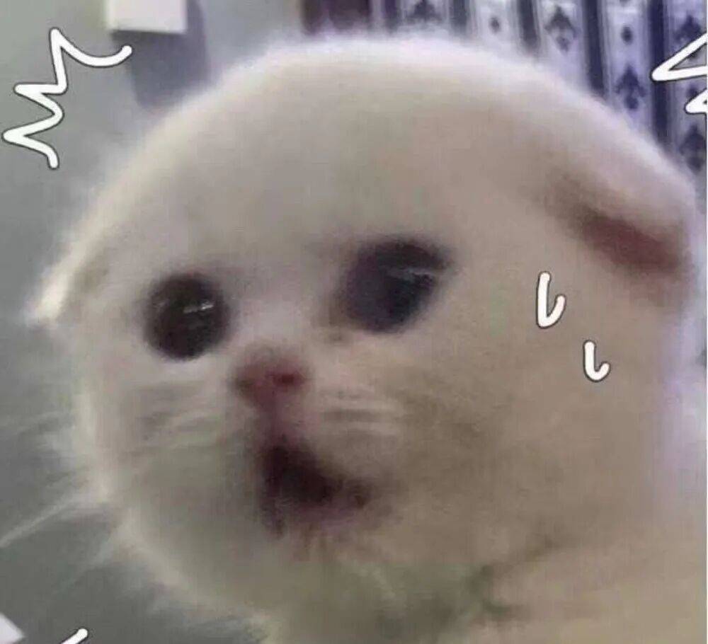 皇冠信用网怎么申请
_上海一对婆媳因阻碍加梯皇冠信用网怎么申请
,与五位邻居“大打出手”!