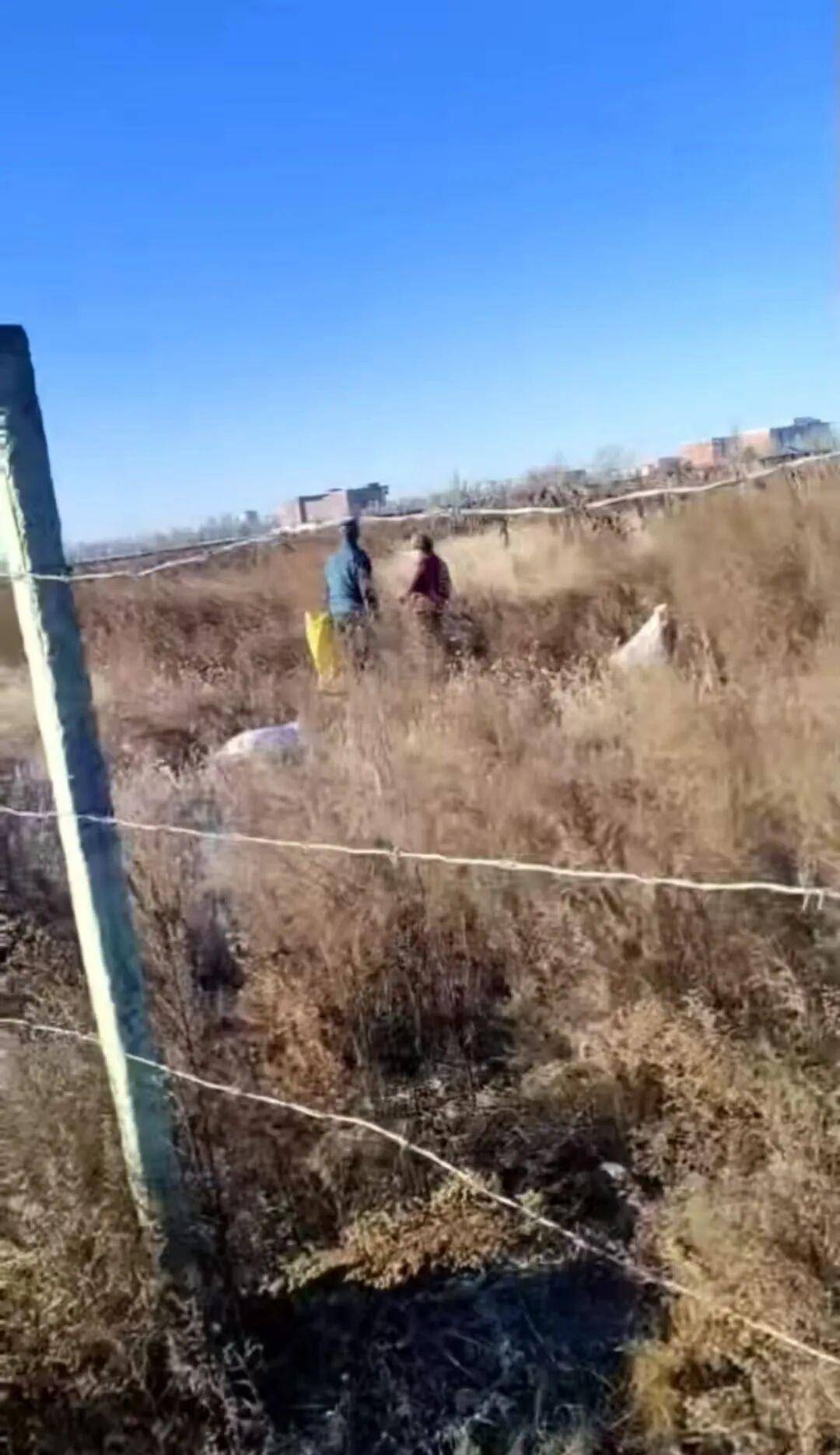 信用网怎么开户
_百亩向日葵遭村民哄抢信用网怎么开户
,损失50万元!警方已行拘4人